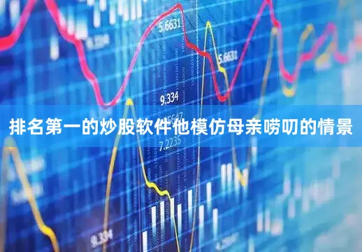 排名第一的炒股软件他模仿母亲唠叨的情景