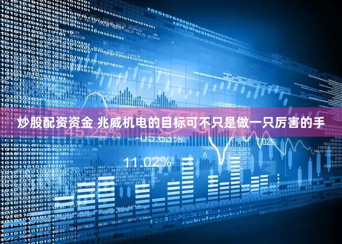 炒股配资资金 兆威机电的目标可不只是做一只厉害的手