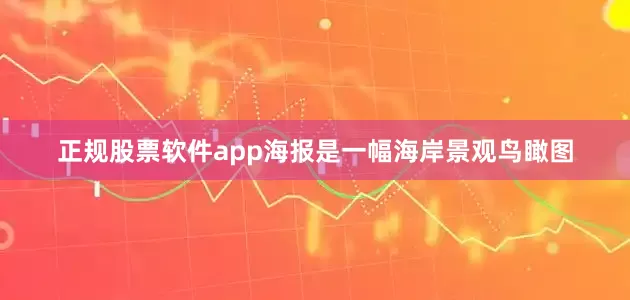 正规股票软件app海报是一幅海岸景观鸟瞰图