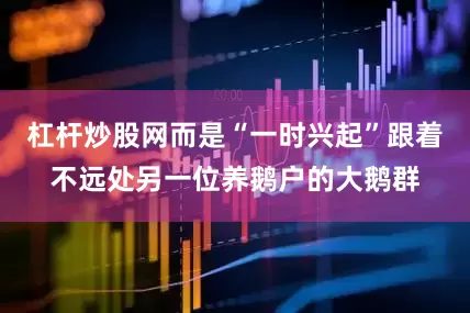 杠杆炒股网而是“一时兴起”跟着不远处另一位养鹅户的大鹅群