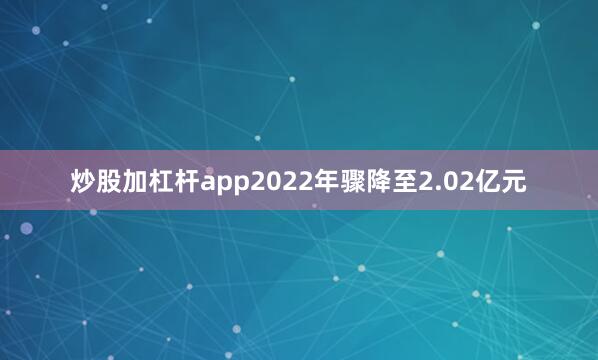 炒股加杠杆app2022年骤降至2.02亿元