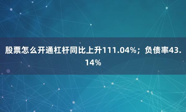 股票怎么开通杠杆同比上升111.04%;负债率43.14%